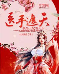 医手遮天：极品丑妃傲天下封面