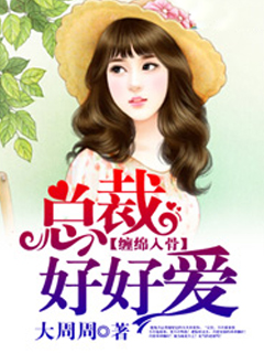缠绵入骨:总裁好好爱封面