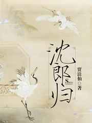 沈郎归封面