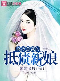 高冷总裁的抵债新娘封面