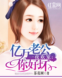 一夜欢宠 ：亿万老公你好坏封面