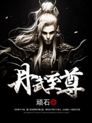 丹武至尊封面