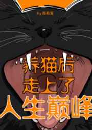 养猫后走上了人生巅峰封面