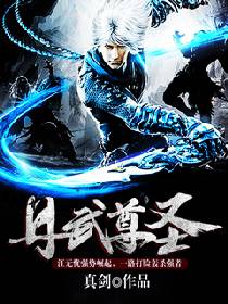 丹武尊圣封面