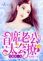 军婚第一宠：首席老公，太会撩！封面