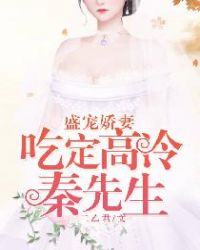 盛宠娇妻：吃定高冷秦先生！封面
