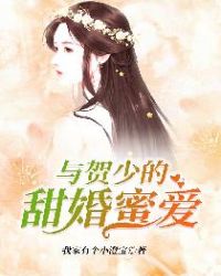 与贺少的甜婚蜜爱封面