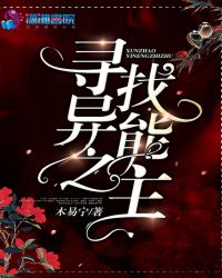 寻找异能之主封面