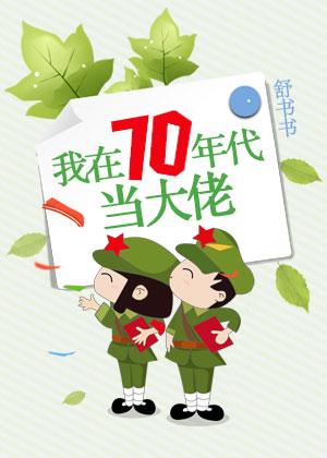 我在七十年代成大佬封面