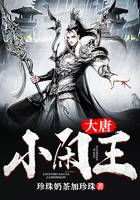 大唐小闲王封面