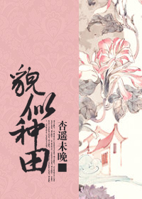 貌似种田封面