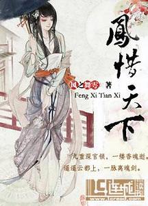 凤惜天下封面