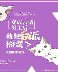 穿成言情男主后我把反派掰弯了封面