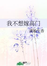 我不想嫁高门封面