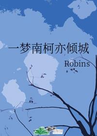 一梦南柯亦倾城封面