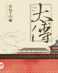 太傅封面