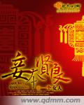 妾本贤良封面