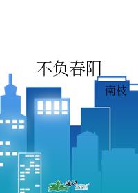 不负春阳封面