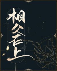 相父在上，朕错了封面