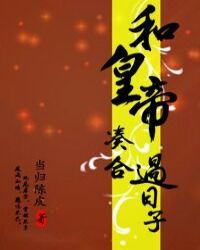 和皇帝凑合过日子封面