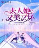 夫人她又美又坏封面