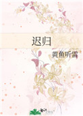 迟归封面
