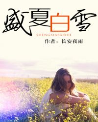 盛夏白雪封面