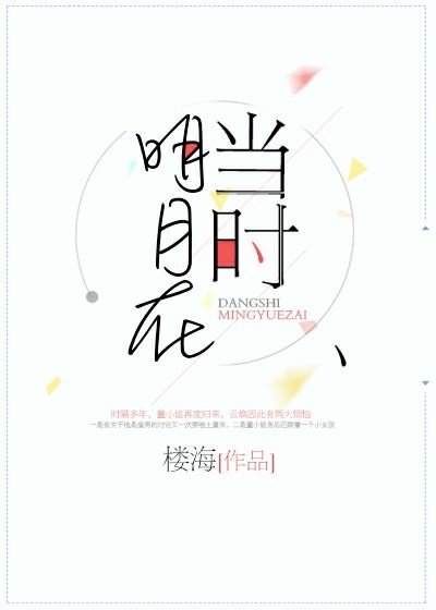 当时明月在封面