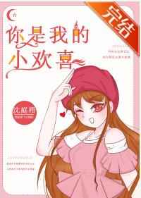 你是我的小欢喜封面