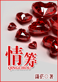 情筹封面