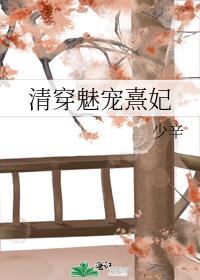 清穿魅宠熹妃封面