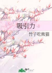 吸引力封面