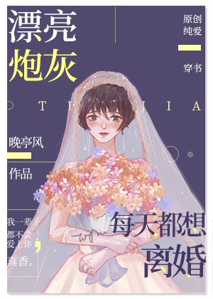 漂亮炮灰每天都想离婚封面