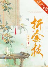 折金枝封面