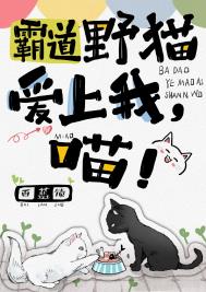 霸道野猫爱上我，喵！封面