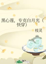 黑心莲，专克白月光（快穿）封面