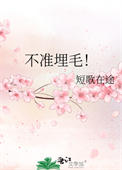不准埋毛！封面
