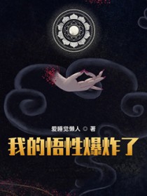 我的悟性爆炸了封面