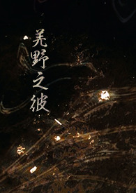 羌野之彼（NP）封面