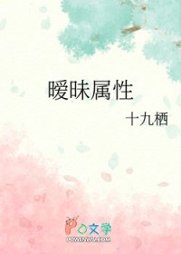 暧昧属性封面