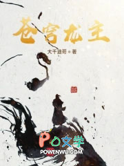 苍穹龙主封面