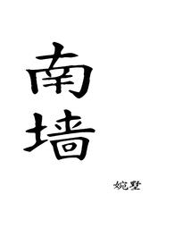 南墙 （兄妹，1v1）封面