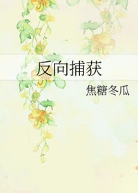 反向捕获封面