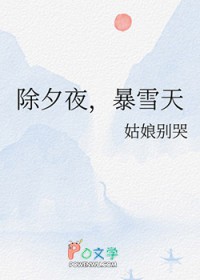 ��Ϧҹ����ѩ�����