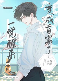 һ��������������׸��˷���