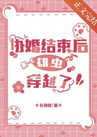 Э������������۳洩Խ�˷���