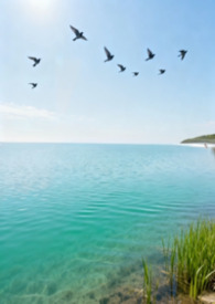 ��ȥ���⣨GB������