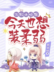 ����Сʦ�ý���Ҳ��װ��������