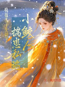 С���˴���˽�ӣ�����̫��ʧ���˷���