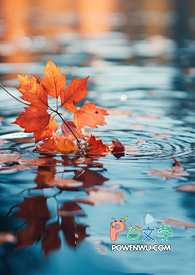 ����е������׷���